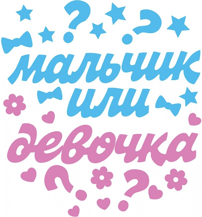 Набор наклеек 'Мальчик или девочка', 0200926