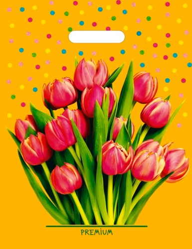 Пакет ПЭ с вырубной ручкой 31х40см (60) (Солнечный букет) ламинированный, ВУР15585