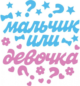 Набор наклеек "Мальчик или девочка", 0200926 Набор наклеек "Мальчик или девочка", 0200926