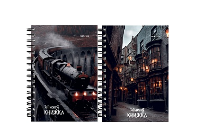 Записная книжка А6, 120л. ШКОЛА МАГИИ, на гребне, ЗК120-3023