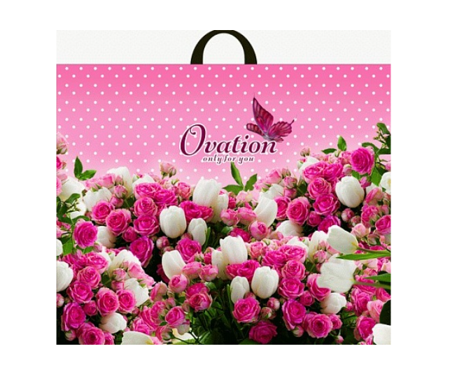 Пакет ПЭ с петлевой ручкой 60х50+6см (70) (Овация) Интерпак, ПТЛ11337