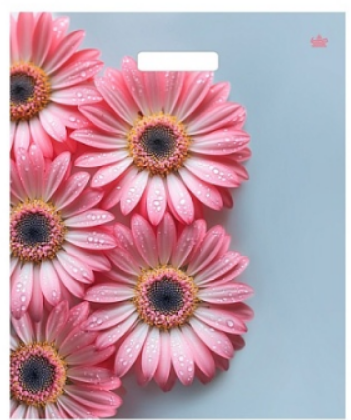 Пакет 38х45+3см (60) (Герберы Шанис), ВУР63668