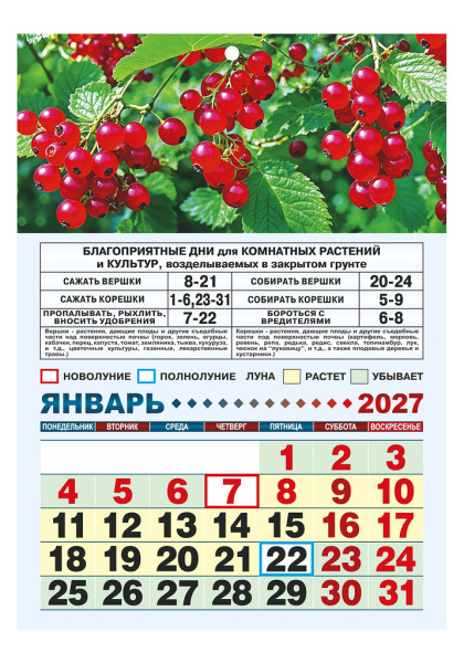 273378-1