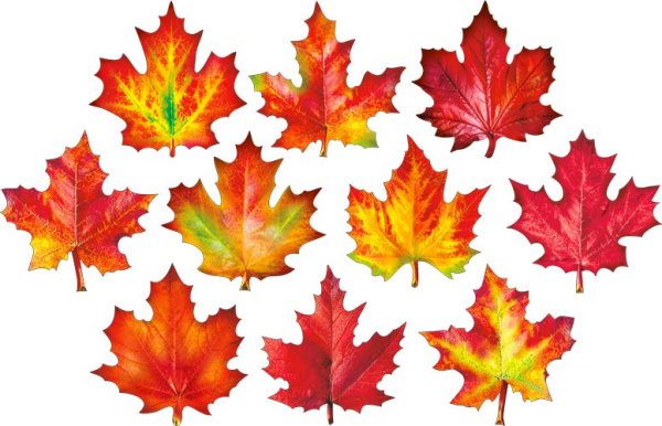 Набор 'Кленовые листья',  (10 шт;уп), HP-43